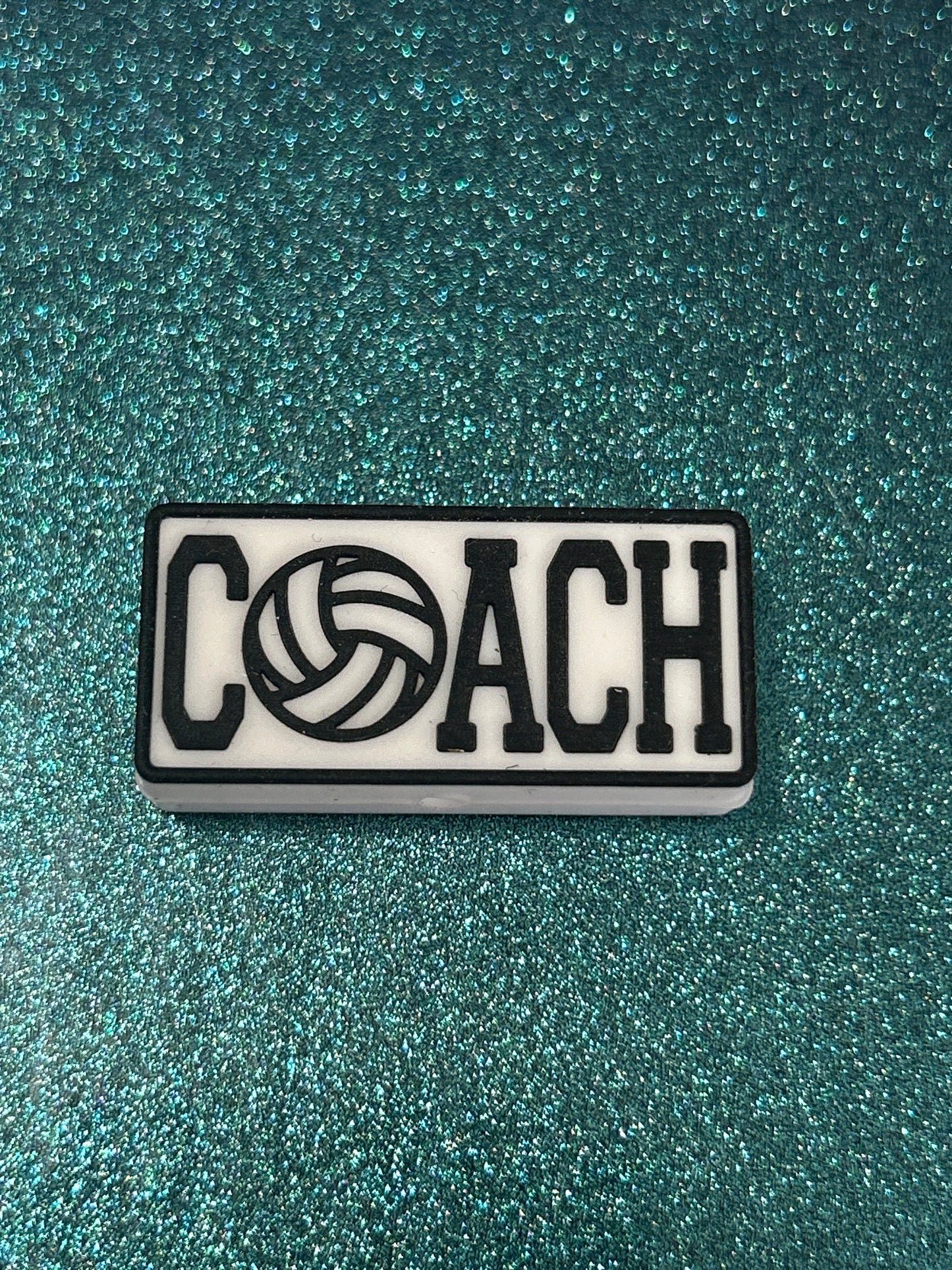 Volleyball Coach