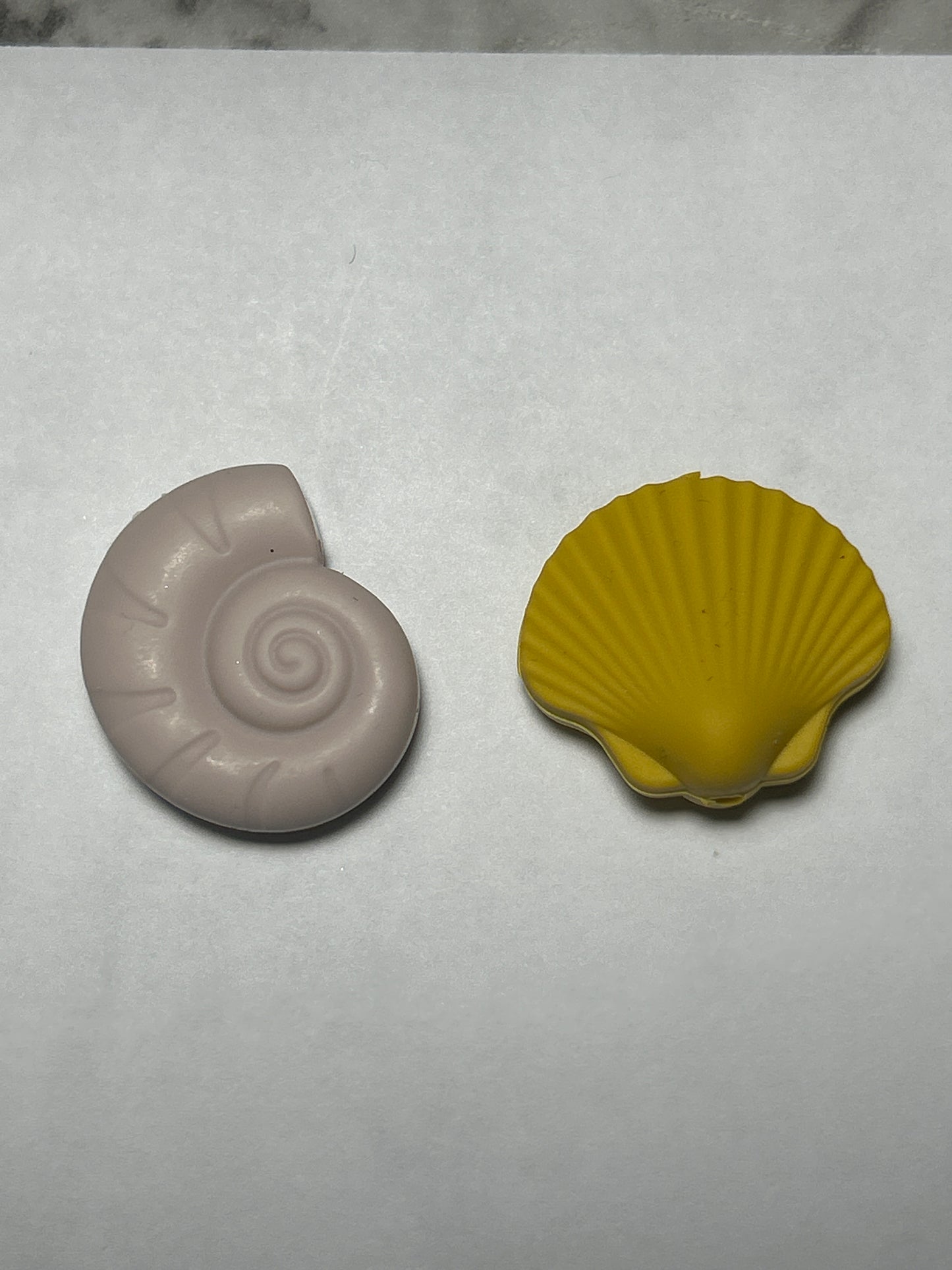 Seashells (Different Styles)