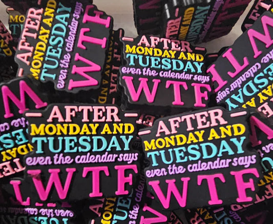 After Monday And Tuesday even the calendar says WTF -Silicone Focal Bead