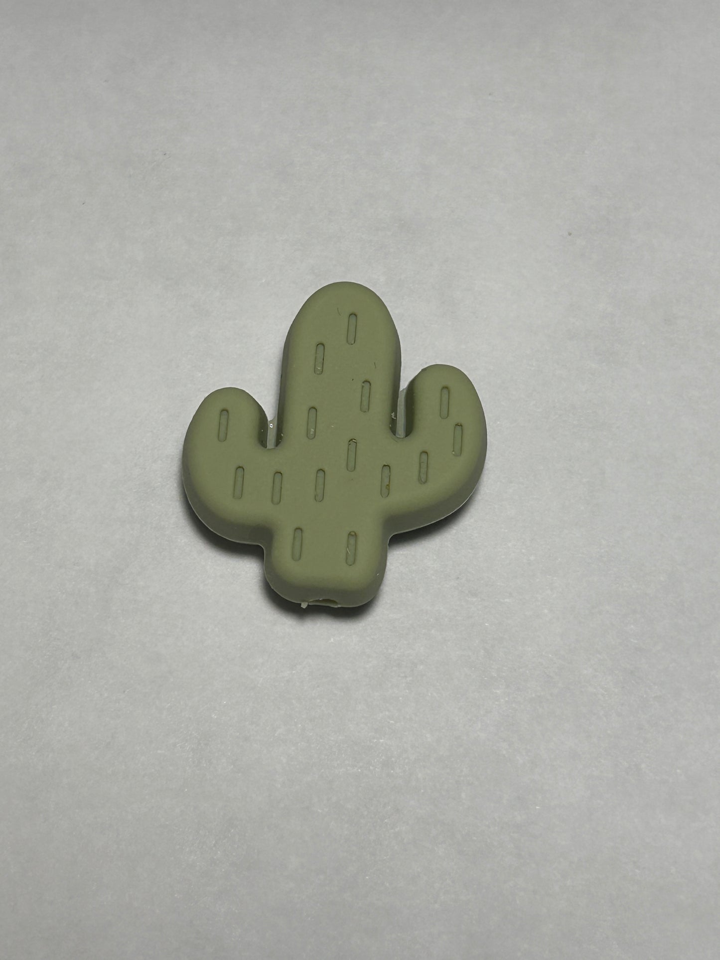 Cactus (Chose option)