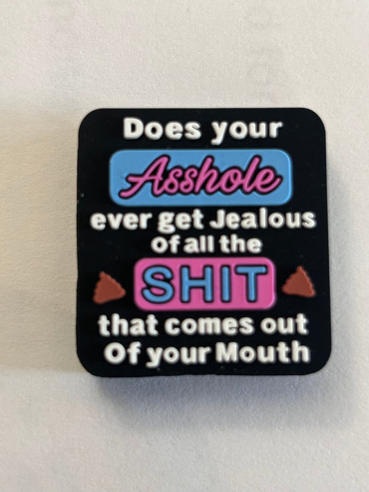 Does your @sshole ever get jealous of all the $hit - Silicone Focal Bead