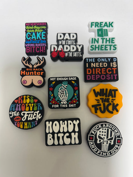 Various Cuss word silicone focal beads